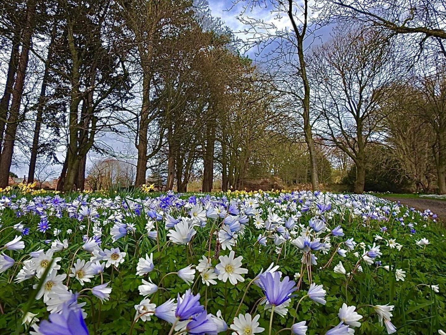 Thornton Manor - Holiday Cottages And Apartments Heswall Kamer foto